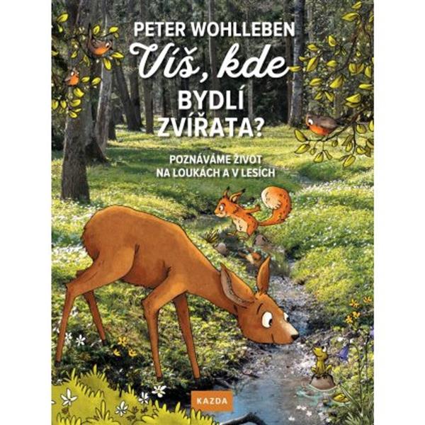 Víš, kde bydlí zvířata? Co všechno můžeš objevit v lese.