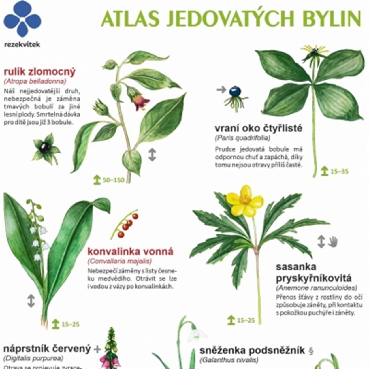 Atlas jedovatých bylin