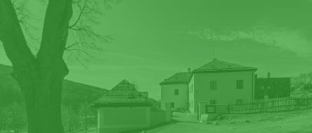 Místně zakotvené učení
